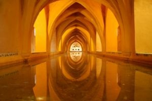 Reflections on Pool of Water