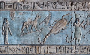 Scorpion image from Egypt