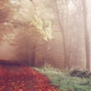 William Blake: The Road Taken