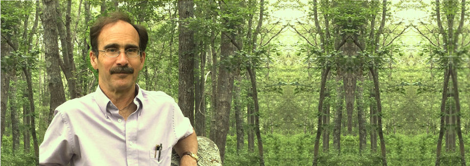 Joseph Crane Astrology Consultations